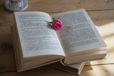 rose lying on open book with tips for office worker or home-based business during February, the love month